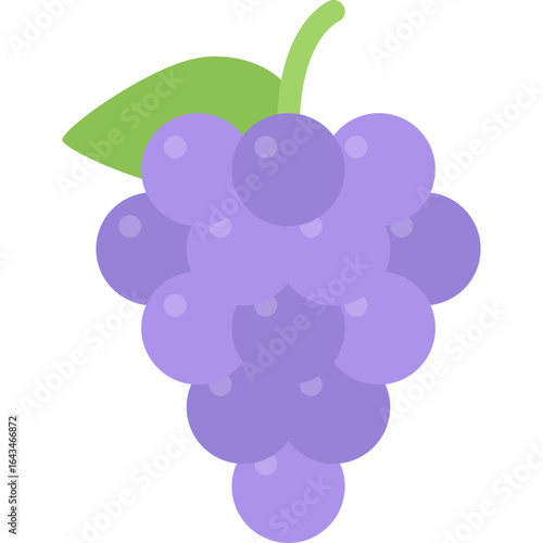 Bunch of Purple Grapes