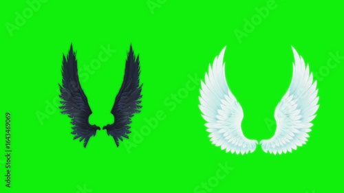Angel birds flying wings animation video green screen.