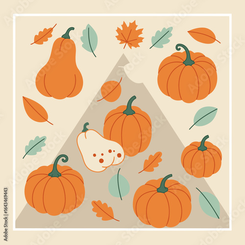 Autumnal pumpkins and gourds in a graphic design aesthetic. Arrangement of various pumpkins and gourds with leaves and fall colors.