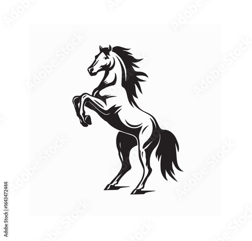 Black and white horse standing upright on its hind legs