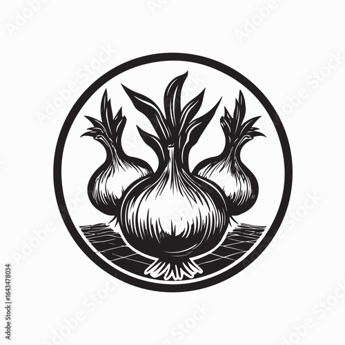 Wallpaper Mural Onion bulbs growing in a field with soil and leaves Torontodigital.ca