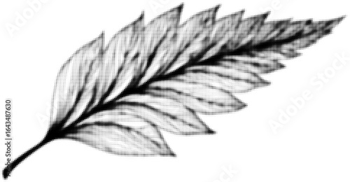 Black and white dotted leaf pattern with artistic texture concept