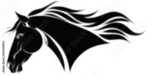 Silhouette of a horse head with flowing mane in black and white illustration