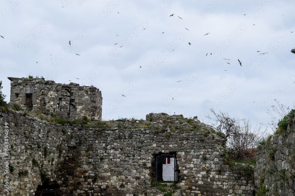 View of crumbling stone walls where the past whispers through the ancient stones as birds dance against the overcast sky, Istanbul, Ä°stanbul, TÃ¼rkiye.