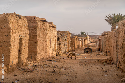 Goat walks through sandy street in Fderik, Mauritania; desert town with crumbling walls, poverty, and isolation in the heart of the Sahara.
