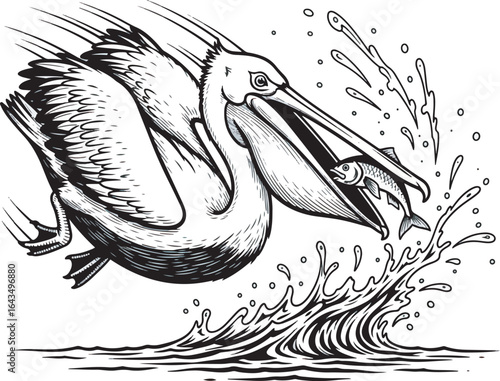 Black and White Pelican Vector Illustration