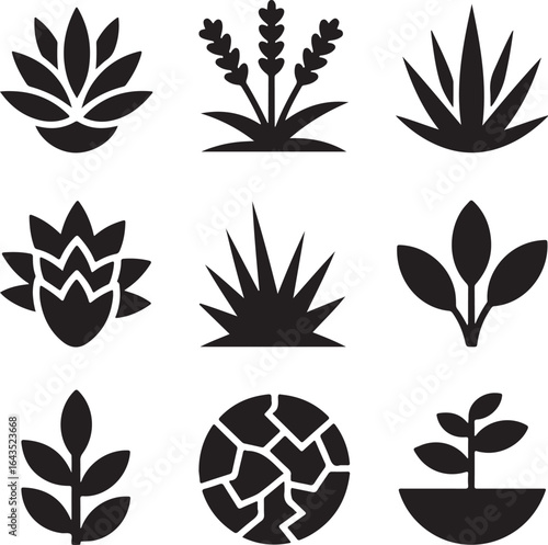 arid, plant, succulent, desert, garden, drought, tolerant, botany, nature, landscape, dry, earth, icon, set, vector