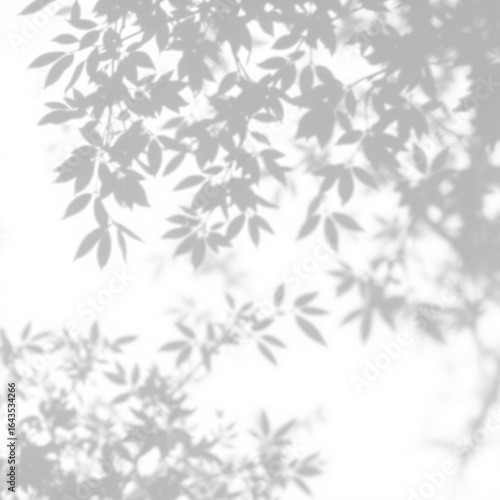 shadow overlay effect. Gray shadow of leaves isolated on white background. 
Plant foliage leaf shadow light effect. Mockup Blurred tree branch shadow. Ideal for summer spring design elements PNG