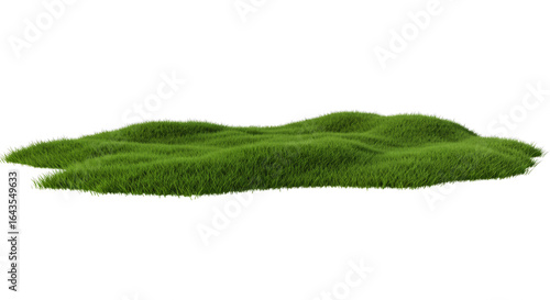 Green grassland landscape isolated on transparent
background

