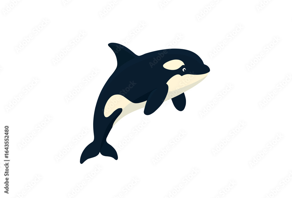 Obraz premium orca whale vector