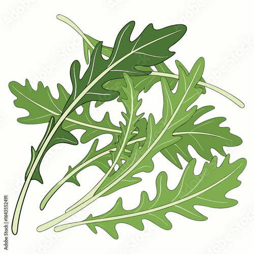 Fresh and Crisp Arugula Leaves Stacked Elegantly on a Plain Background