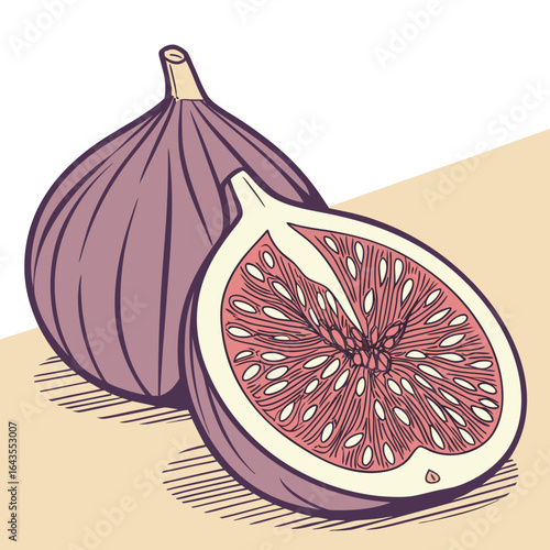 Stylized illustration of whole and halved figs with detailed internal seeds