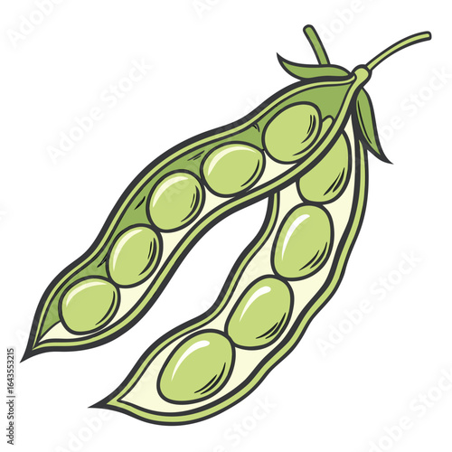 Illustration of open pea pods with green peas on a white background
