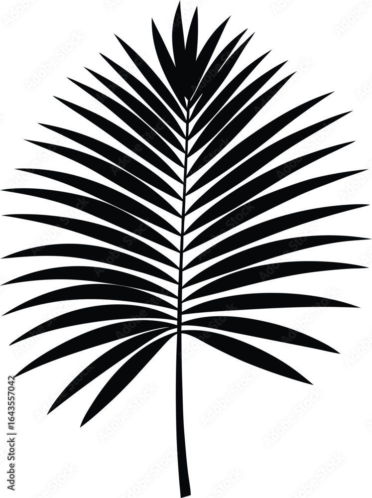 Obraz premium palm tree silhouette
