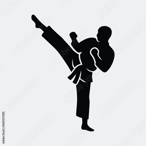 Silhouette Karate martial arts fighter kicks vector illustration