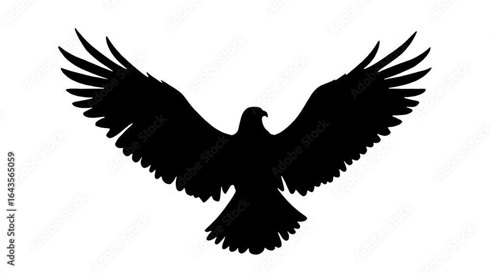 Obraz premium Soaring eagle gobo texture with clean contrast