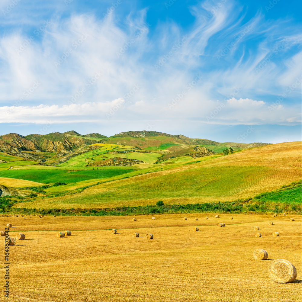 Obraz premium scenic agricultural landscape of summer season golden field with hay stacks during sunset or sunrise with green rural hills and beautiful mountains and clouds in evening sky on background