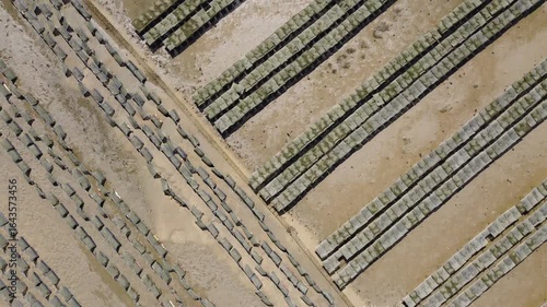 Ria Formosa riverbed at low tide, with shellfish production and yachts anchored in the river in Algarve, Portugal
