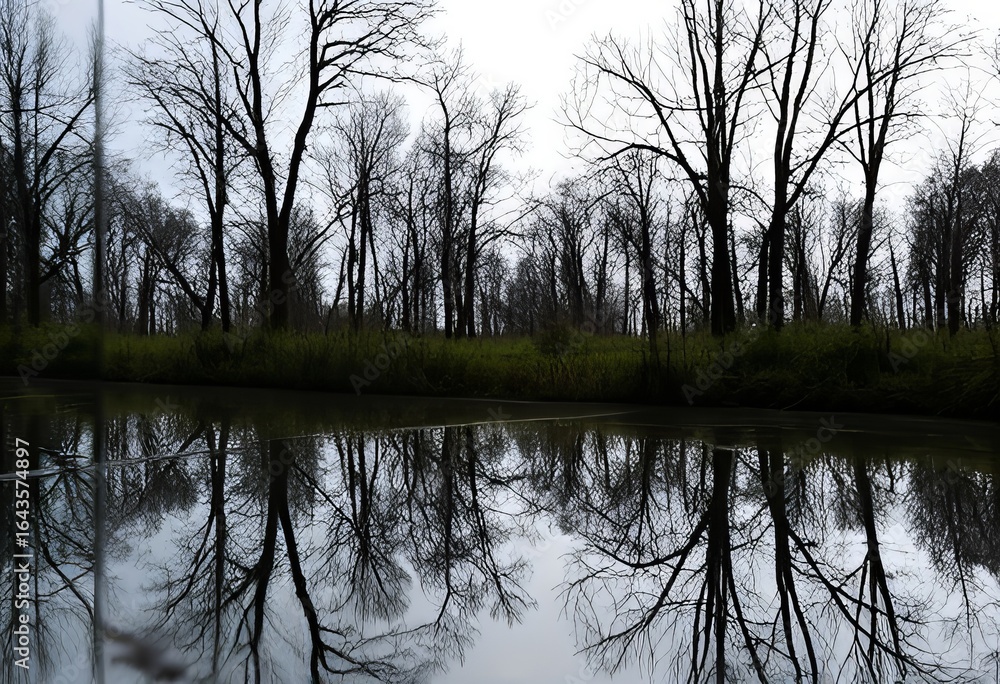 Obraz premium Mirror Reflections and distortions