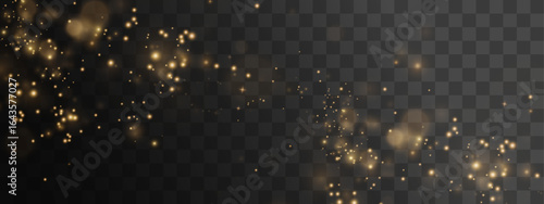 Dust, gold, sparkle, light, magic in PNG particles. This PNG Overlay with transparent background creates a glamorous, bright, and festive look for luxury celebration design