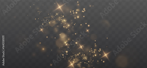 Sparkle, PNG, bokeh, glitter, dust, vector light splash with festive spray. Christmas sparkle PNG on transparent background. Glam Overlay for party, confetti, or isolated star effect design.
