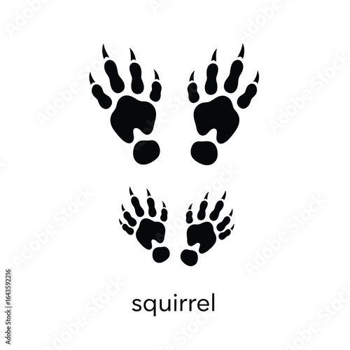 Vector art of squirrel paw prints isolated on white background, animal tracks vector
