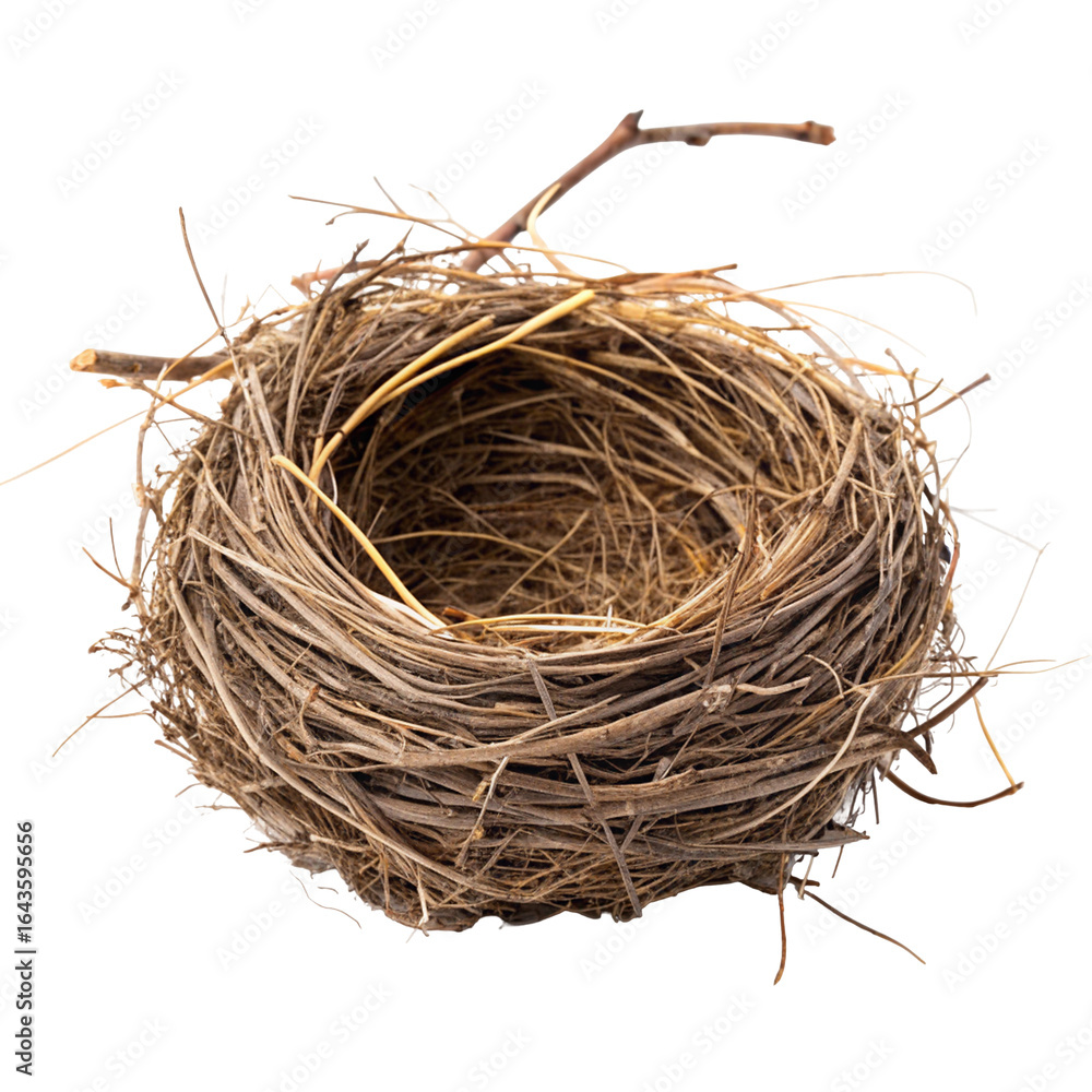 Obraz premium Empty bird nest made of twigs for natural home decoration and outdoor garden use in springtime
