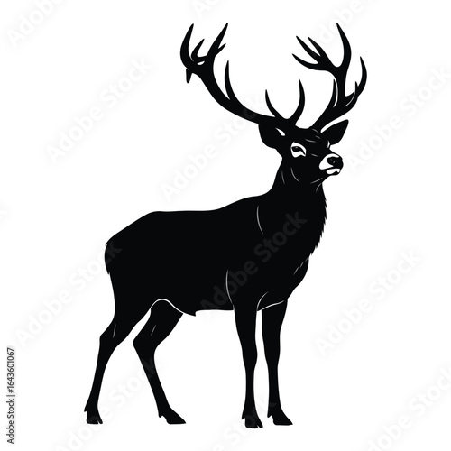 Majestic stag silhouette standing proudly against white background