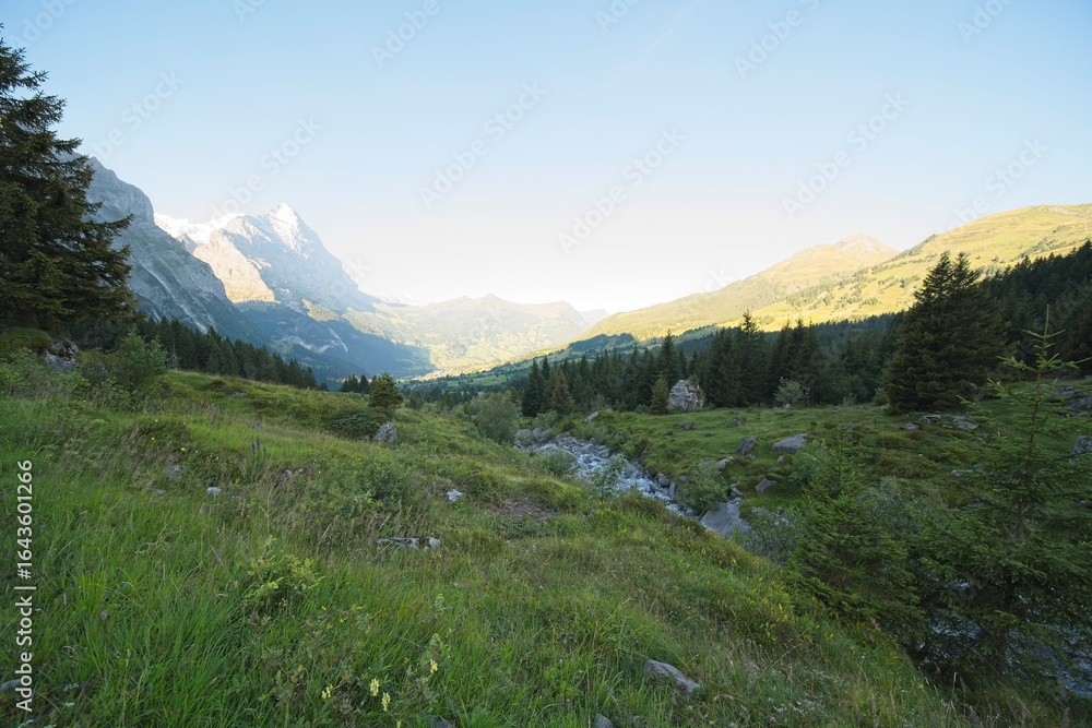 Obraz premium Grindelwald, Switzerland, view towards Grindelwald taken from the Gleckstein junction.