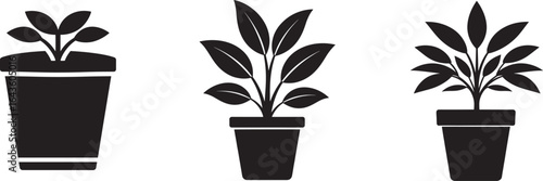 collection of potted plant icons, silhouette of houseplants for home decor and nature concept, vector