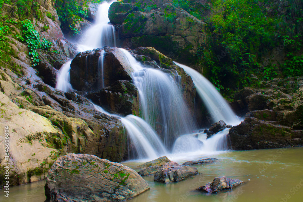 Fototapeta premium Serene Jungle Waterfall