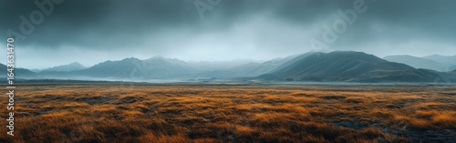 A Misty Mountain Landscape with Golden Grass in the Foreground