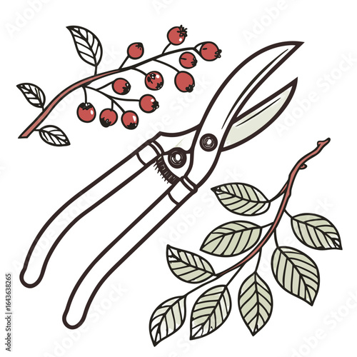 Hand drawn illustration of pruning shears with branches of red berries and green leaves on a black background