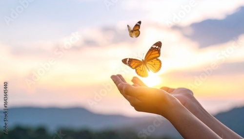 A hand releasing a butterfly into the sky, symbolizing freedom, environmental care, and the impact of reducing carbon emissions on World Earth Day