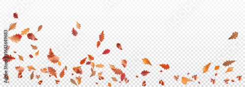 Autumn falling leaves on transparent background, vector, png. Wave of falling leaves in the wind, leaf fall. Rowan berries, acorns, yellow leaves of oak, maple, birch, rowan.	
