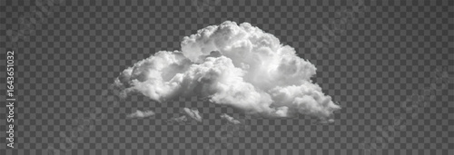 The image depicts various atmospheric phenomena such as fog, smoke, mist, and steam. The realistic 3D vector mockup shows a perspective view of white smog clouds.	
