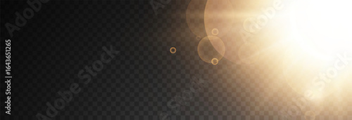 Set of realistic vector gold stars png. Set of vector suns png. Golden flares with highlights.