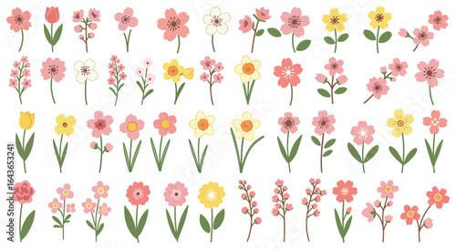 Collection of Hand Drawn Spring Flowers in Pink Yellow and White Tones