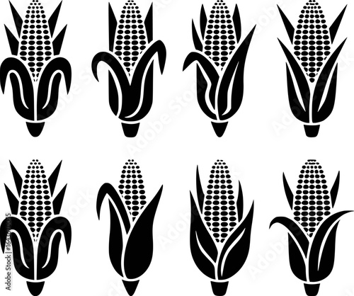 Black corn cobs with husks maize food