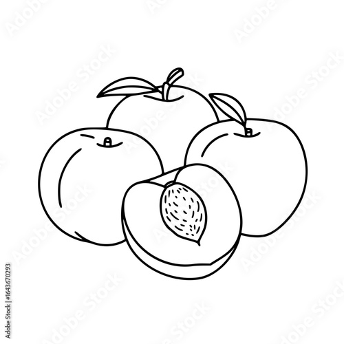 Illustration of peaches in a simple linear style