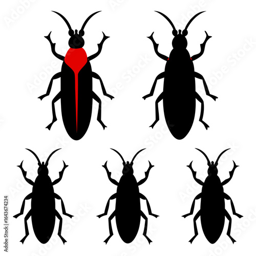 Longhorn Beetle