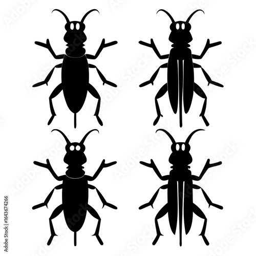 Longhorn Beetle