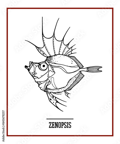 Hand drawn illustration of a deep sea fish made in graphic steampunk style. Ink drawing, beautiful design elements. Perfect print for any business related to the fish industry.