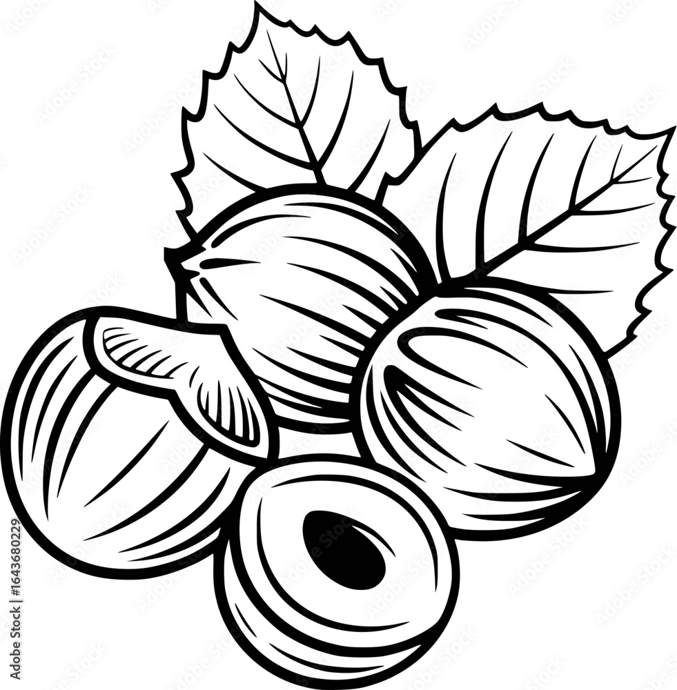 Fototapeta premium Hazelnuts with leaves food nature