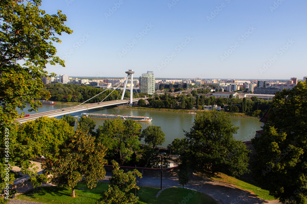 Fototapeta premium Ship on the Danube River in Bratislava