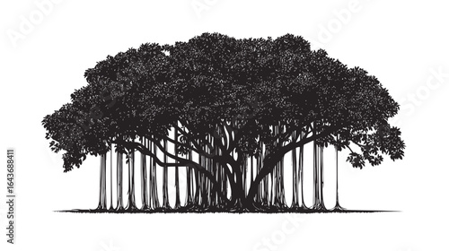 Banyan tree silhouette white background vector illustration, sacred fig tree with aerial roots and wide canopy, black isolated graphic design for logos, posters, and nature themes.