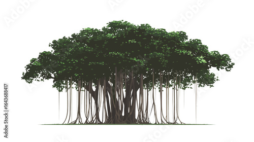 Banyan tree silhouette white background vector illustration, sacred fig tree with aerial roots and wide canopy, black isolated graphic design for logos, posters, and nature themes.