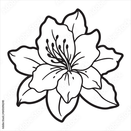 A Graceful and Elegant Azalea, a Symbol of Passion and Devotion, a Beautiful Floral Arrangement Perfect for Interior Decor and Still-Life