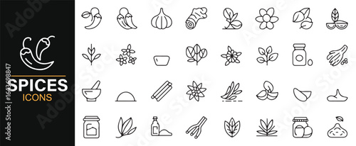 Set of Cooking Spice Icons Including Garlic, Chili, and Herb Containers