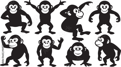 Swing Time! The High-Flying Life of Monkeys